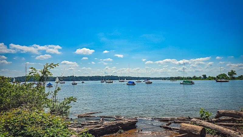 Dyke Marsh Wildlife Preserve - Alexandria, VA