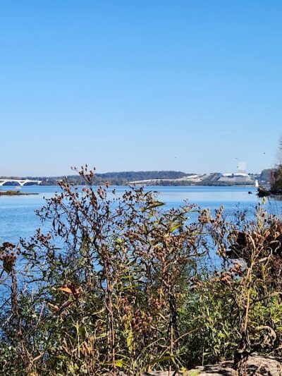 Dyke Marsh Wildlife Preserve - Alexandria, VA