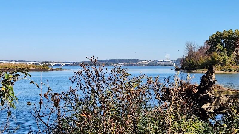 Dyke Marsh Wildlife Preserve - Alexandria, VA