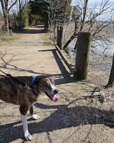 Dyke Marsh Wildlife Preserve - Alexandria, VA