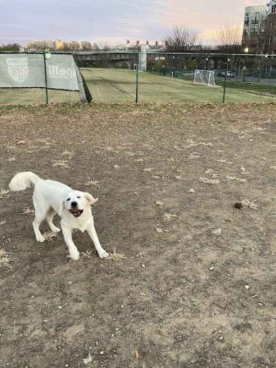 Eugene Simpson Stadium Park - Alexandria, VA