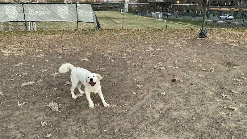Eugene Simpson Stadium Park - Alexandria, VA