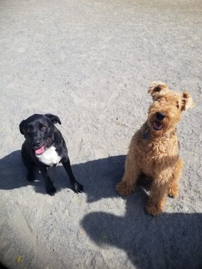 Eugene Simpson Stadium Park - Alexandria, VA