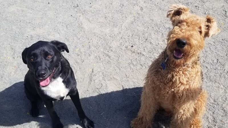 Eugene Simpson Stadium Park - Alexandria, VA
