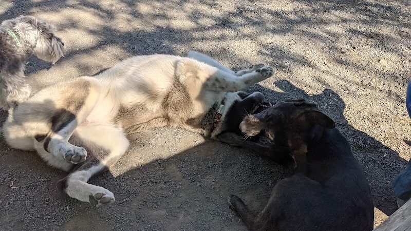 Eugene Simpson Stadium Park - Alexandria, VA