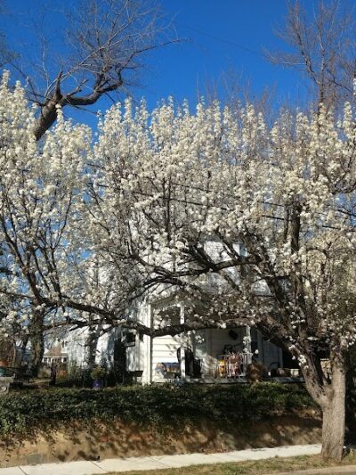 Eugene Simpson Stadium Park - Alexandria, VA