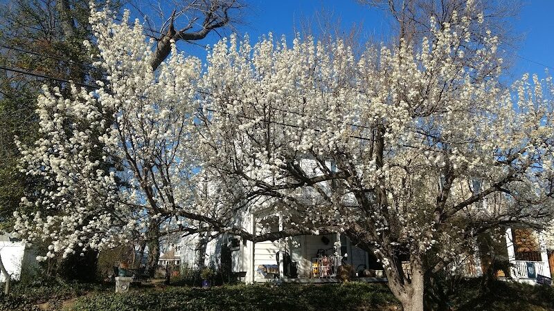 Eugene Simpson Stadium Park - Alexandria, VA