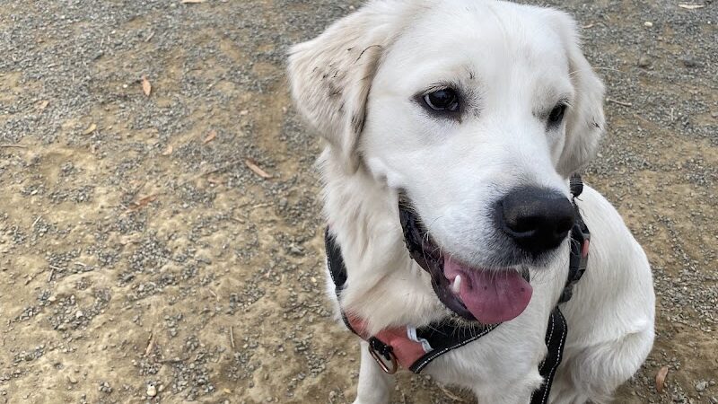 Eugene Simpson Stadium Park - Alexandria, VA