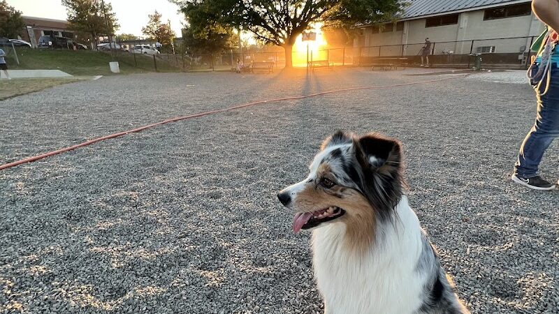 Eugene Simpson Stadium Park Dog Park - Alexandria, VA