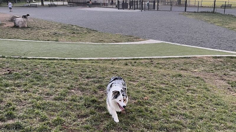Eugene Simpson Stadium Park Dog Park - Alexandria, VA
