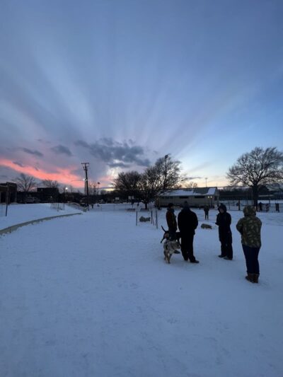 Eugene Simpson Stadium Park Dog Park - Alexandria, VA