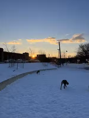 Eugene Simpson Stadium Park Dog Park - Alexandria, VA