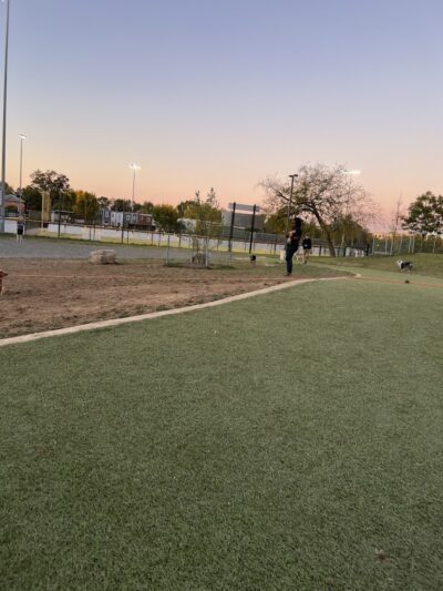 Eugene Simpson Stadium Park Dog Park - Alexandria, VA
