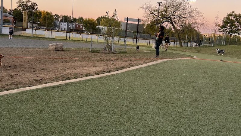 Eugene Simpson Stadium Park Dog Park - Alexandria, VA