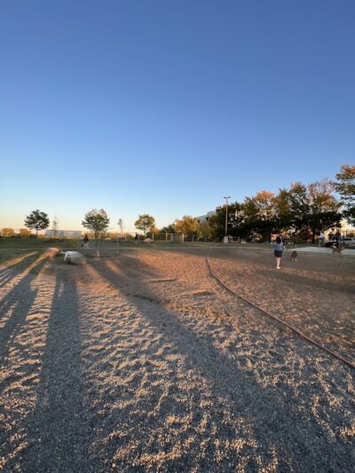 Eugene Simpson Stadium Park Dog Park - Alexandria, VA