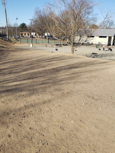 Eugene Simpson Stadium Park Dog Park - Alexandria, VA