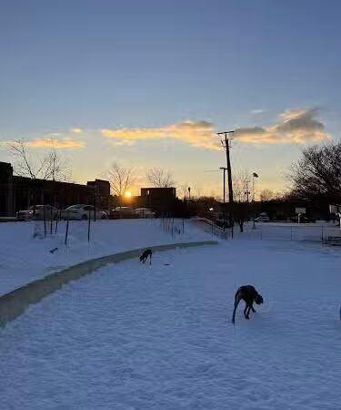 Eugene Simpson Stadium Park Dog Park - Alexandria, VA
