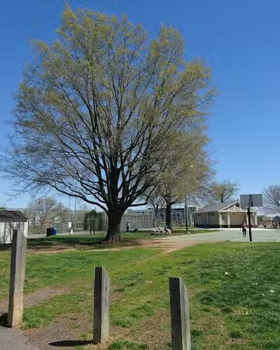 Eugene Simpson Stadium Park - Alexandria, VA