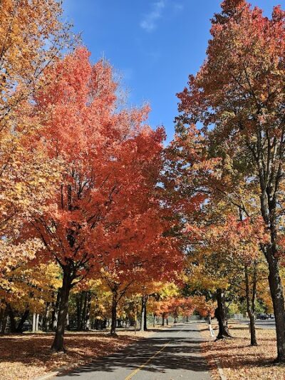 Fort Hunt Park - Alexandria, VA