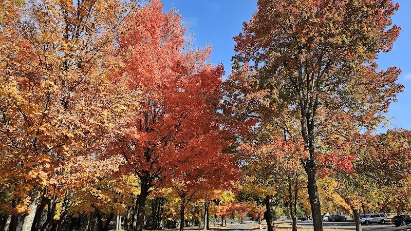 Fort Hunt Park - Alexandria, VA
