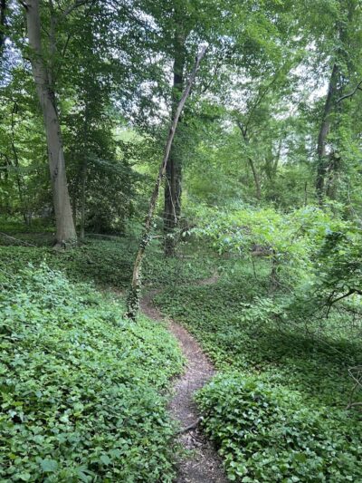 Fort Hunt Park - Alexandria, VA