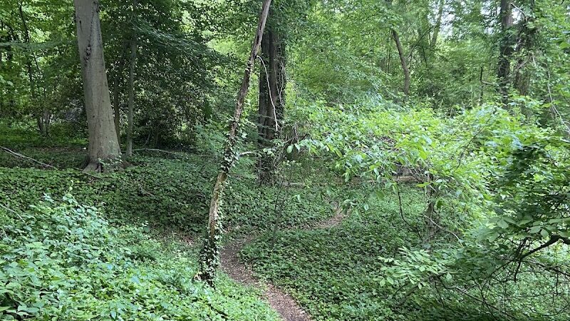 Fort Hunt Park - Alexandria, VA