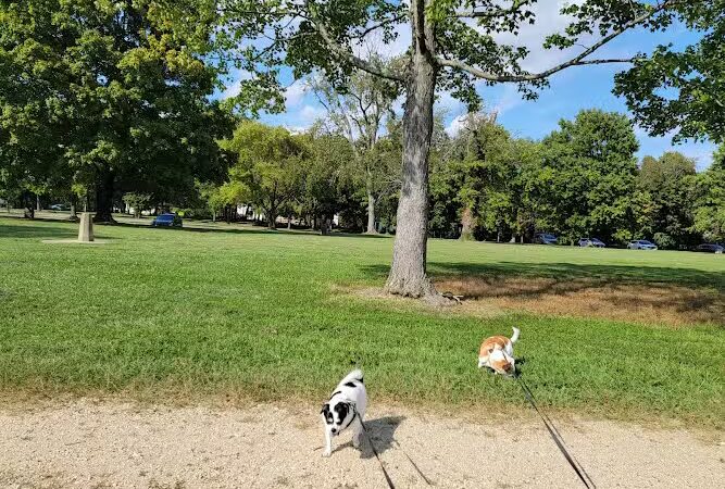 Fort Hunt Park - Alexandria, VA