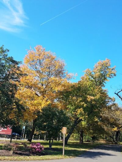 Fort Ward Park - Alexandria, VA
