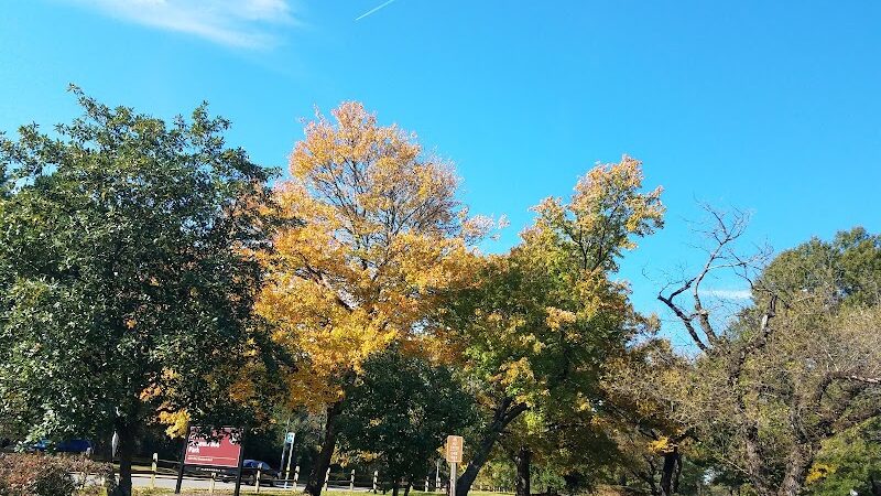 Fort Ward Park - Alexandria, VA