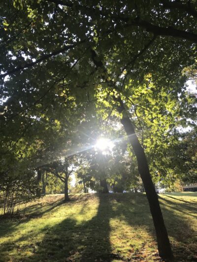 Fort Ward Park Playground - Alexandria, VA