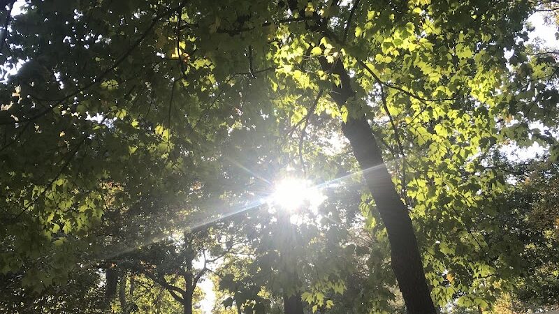 Fort Ward Park Playground - Alexandria, VA