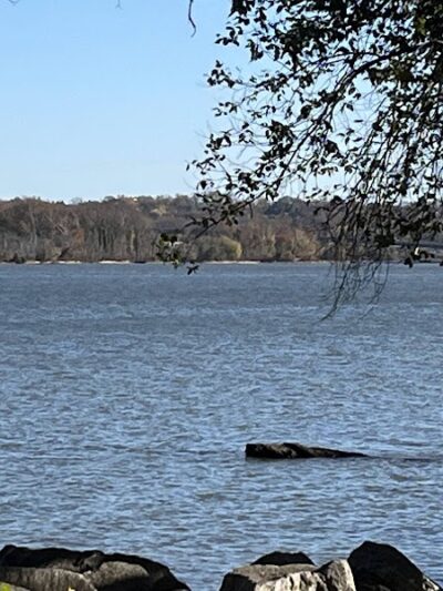 Founders Park - Alexandria, VA