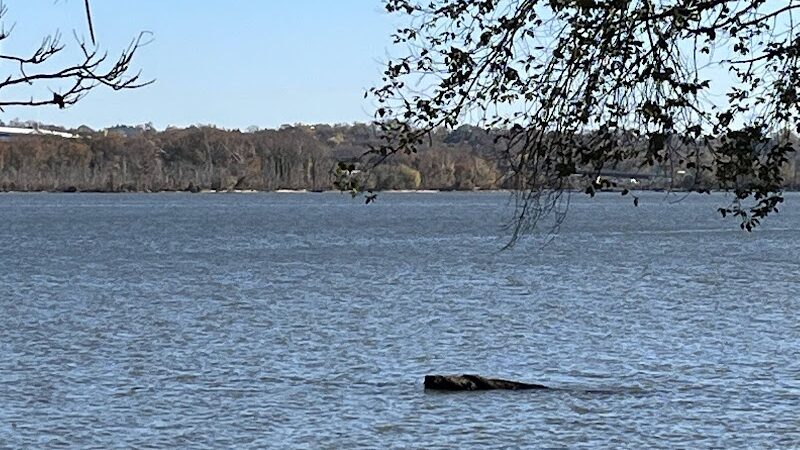 Founders Park - Alexandria, VA