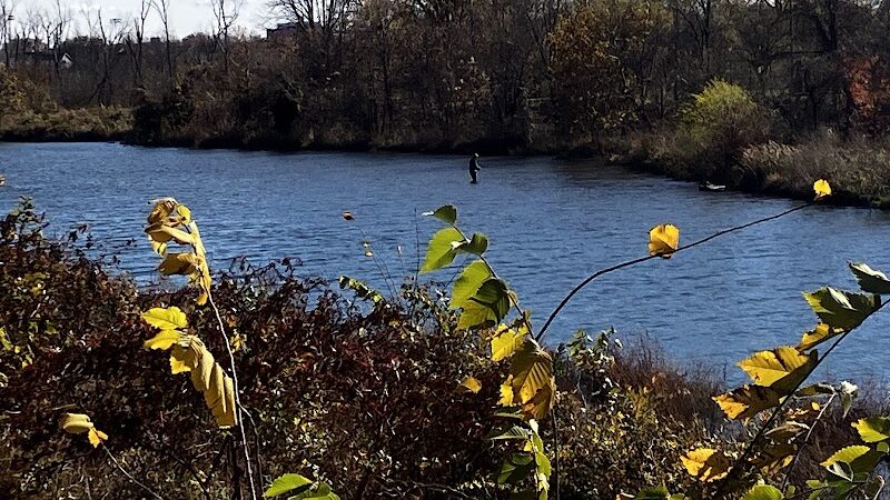 Four Mile Run Park - Alexandria, VA