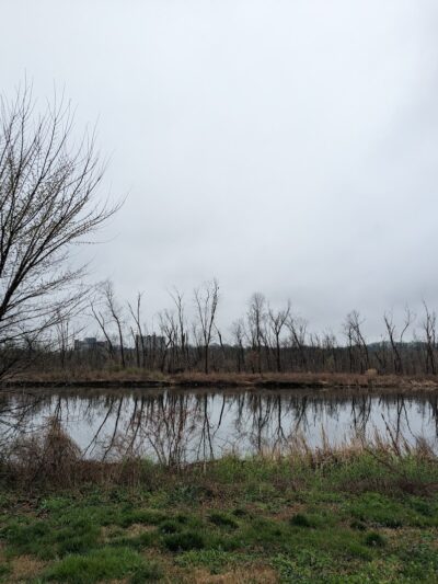 Four Mile Run Park - Alexandria, VA