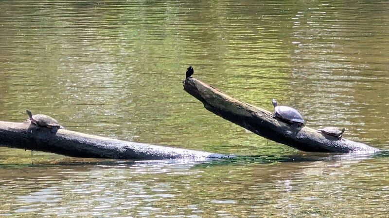 Four Mile Run Park - Alexandria, VA