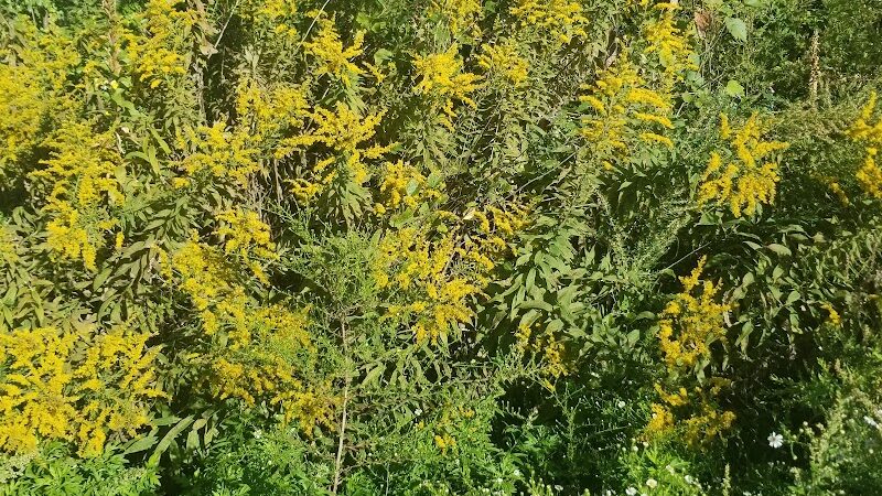 Four Mile Run Park - Alexandria, VA