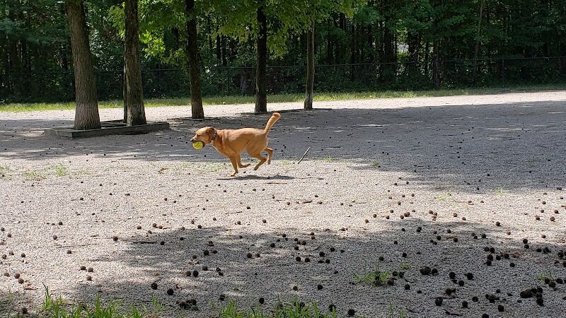 Grist Mill Park - Alexandria, VA