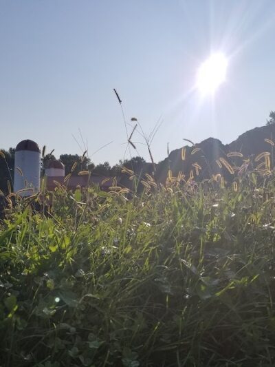 Grist Mill Park - Alexandria, VA