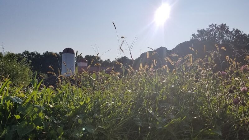 Grist Mill Park - Alexandria, VA