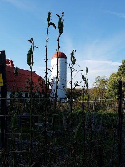 Grist Mill Park - Alexandria, VA