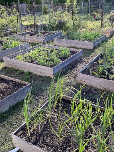 Grist Mill Park - Alexandria, VA