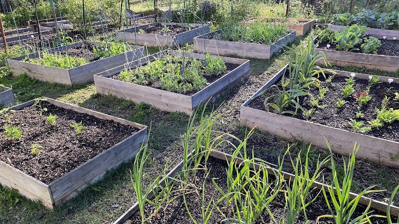 Grist Mill Park - Alexandria, VA