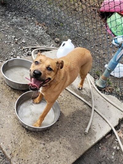 Grist Mill Park - Alexandria, VA