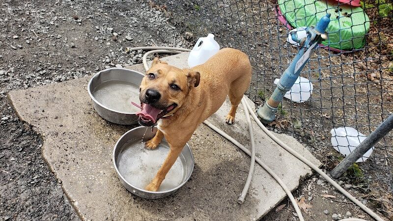 Grist Mill Park - Alexandria, VA