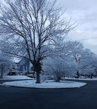 Hooffs Run Park and Greenway - Alexandria, VA