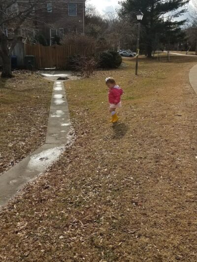 Hooffs Run Park and Greenway - Alexandria, VA