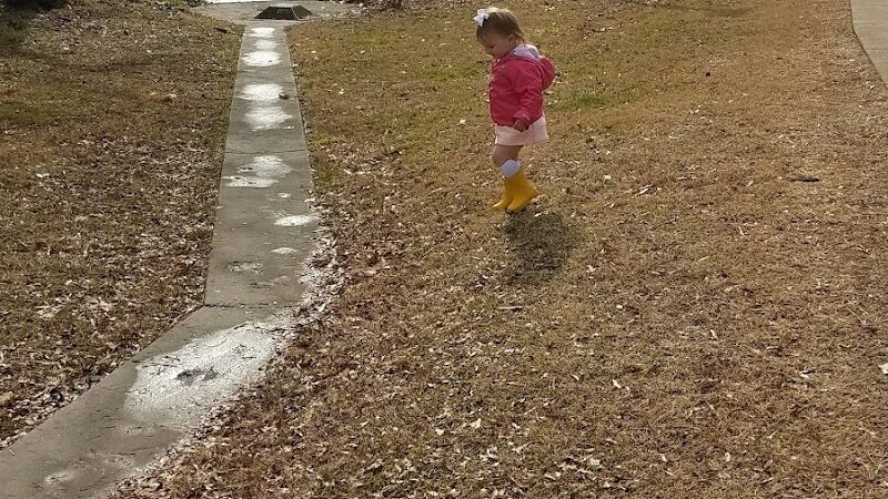 Hooffs Run Park and Greenway - Alexandria, VA