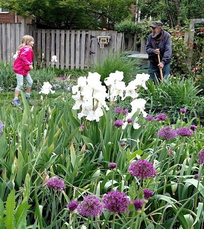 Hooffs Run Park and Greenway - Alexandria, VA
