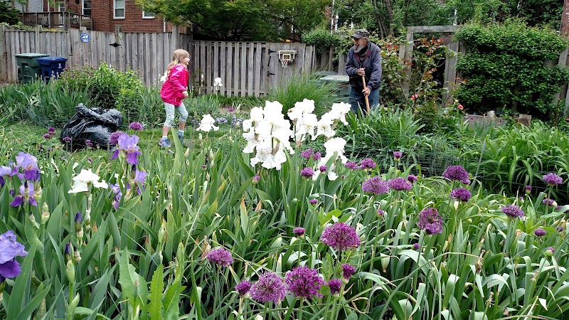 Hooffs Run Park and Greenway - Alexandria, VA